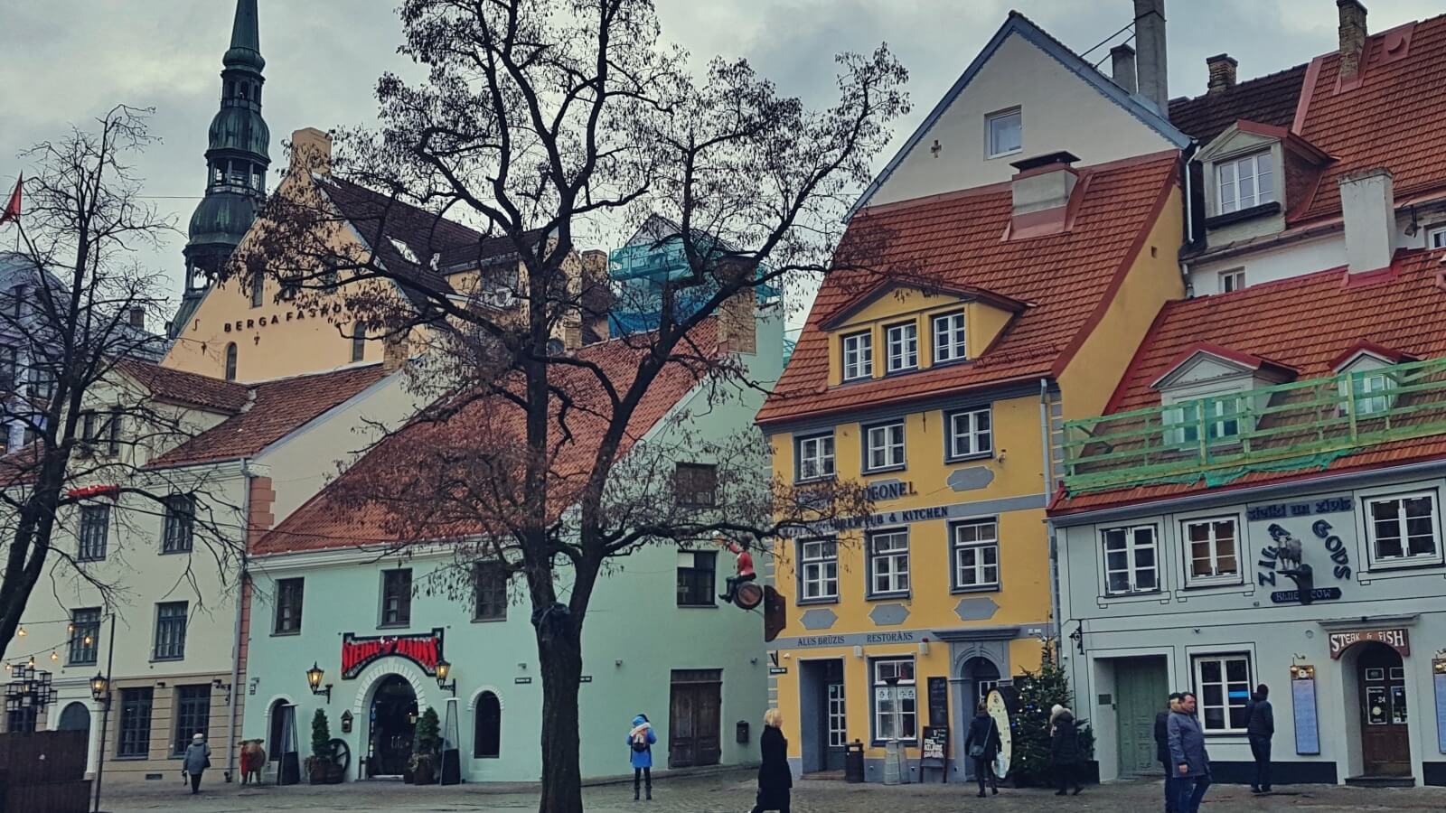 PRZEDŚWIĄTECZNE SMAKOWANIE RYGI!