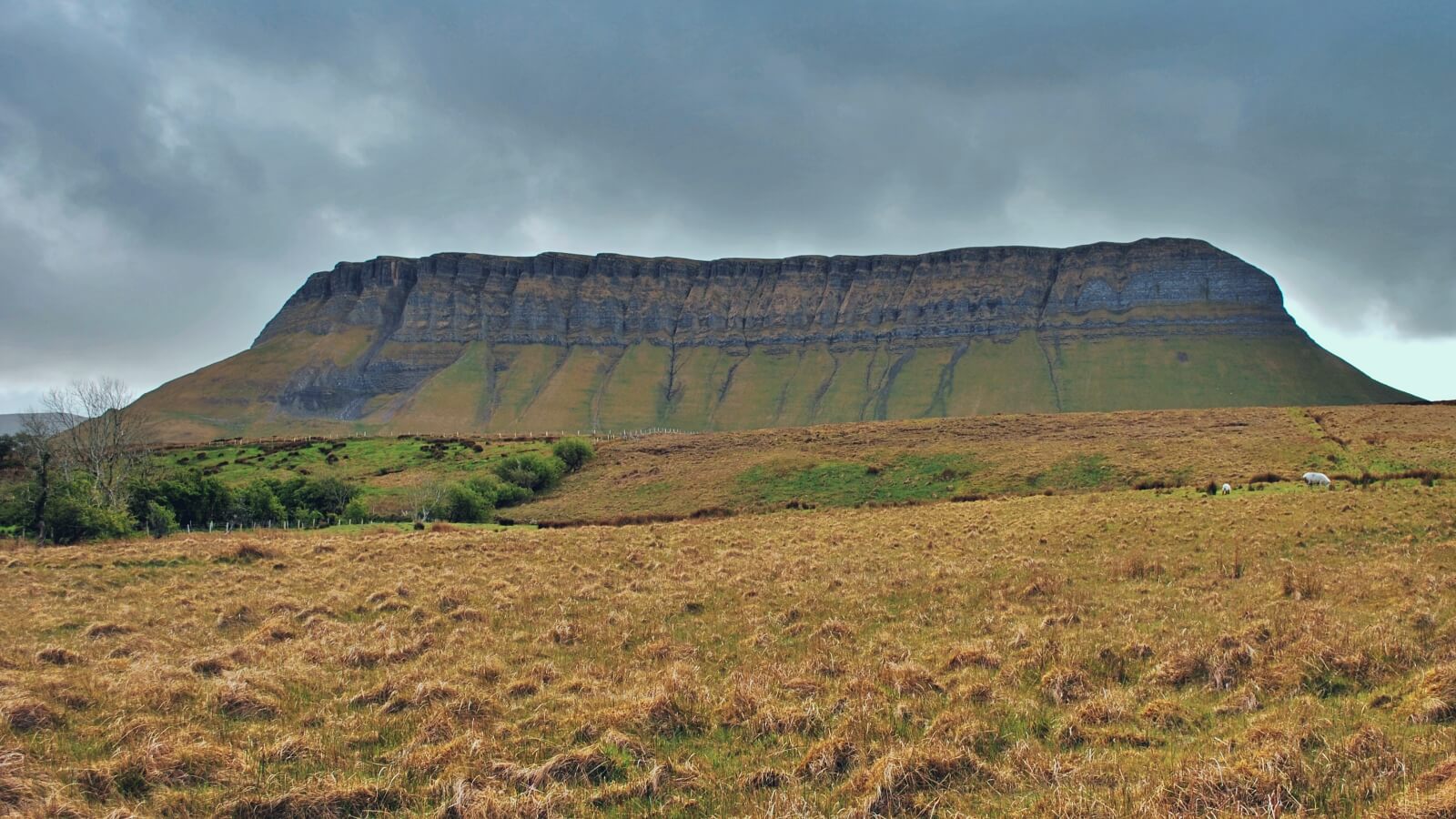 Ben Bulben, góra w Sligo, w Irlandii.