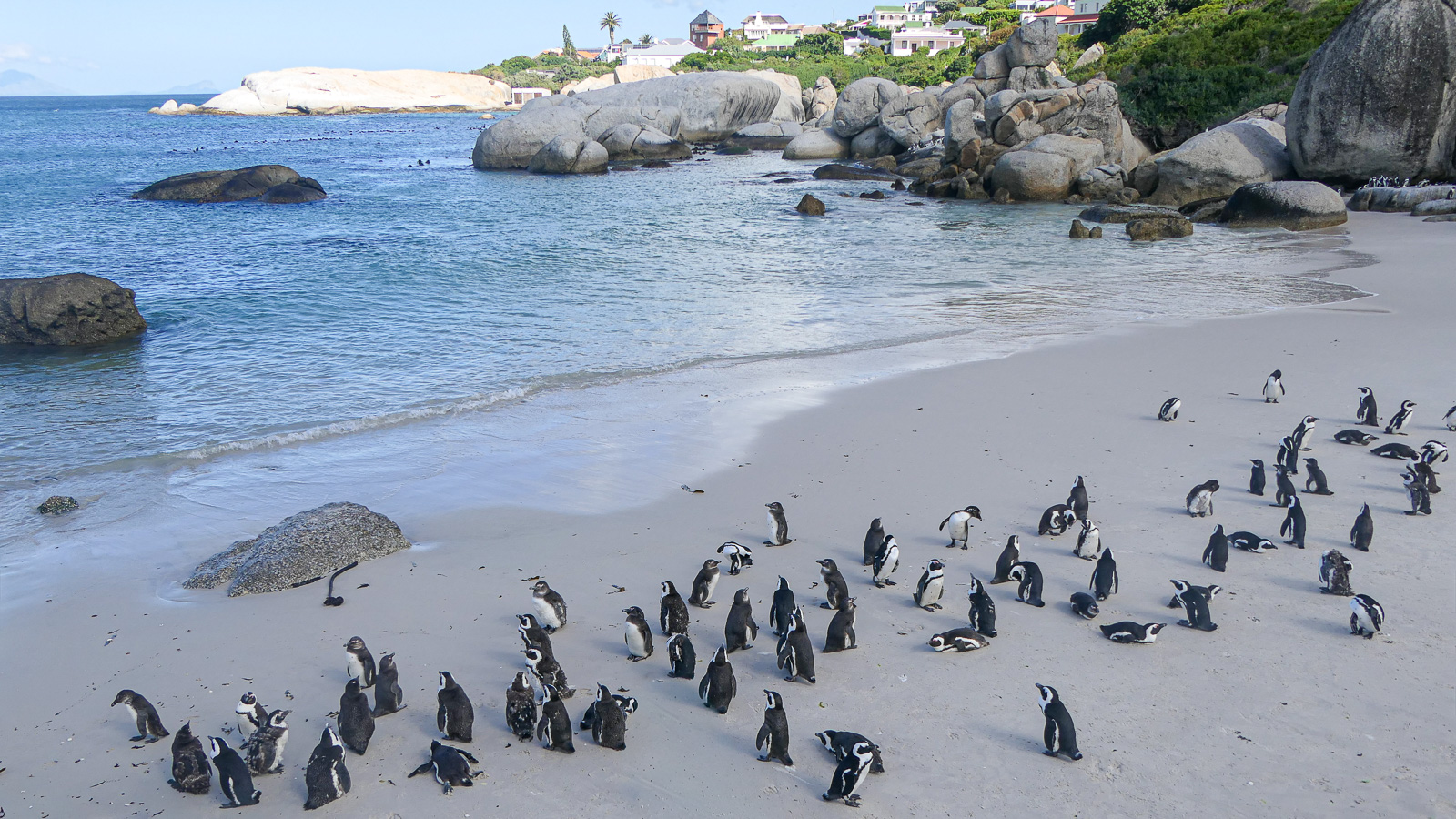 PRZYLĄDKOWE WYCIECZKI